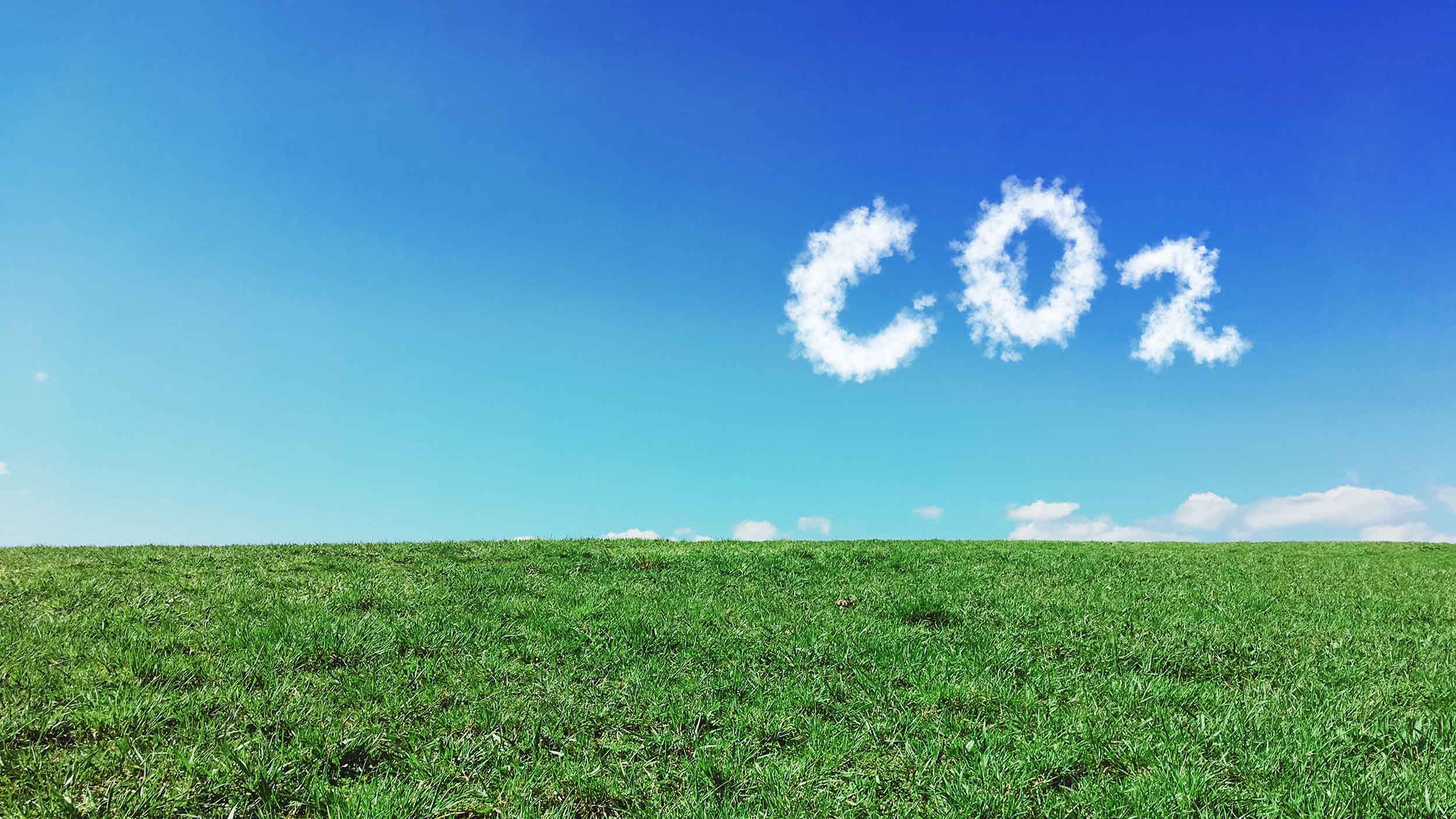 green-data-or-greenwashing-ssrn-paper